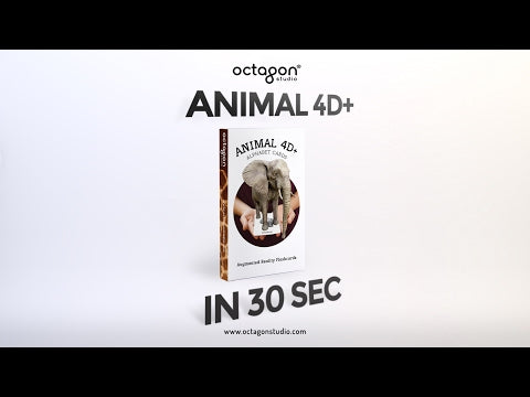 Octagon 4D+ Animals Cards - Augmented Reality, Educational Toy - tribz - Octagon Studio 5391528220007