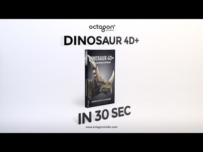 Octagon 4D+ Dinosaur Cards - Augmented Reality, Educational Toy